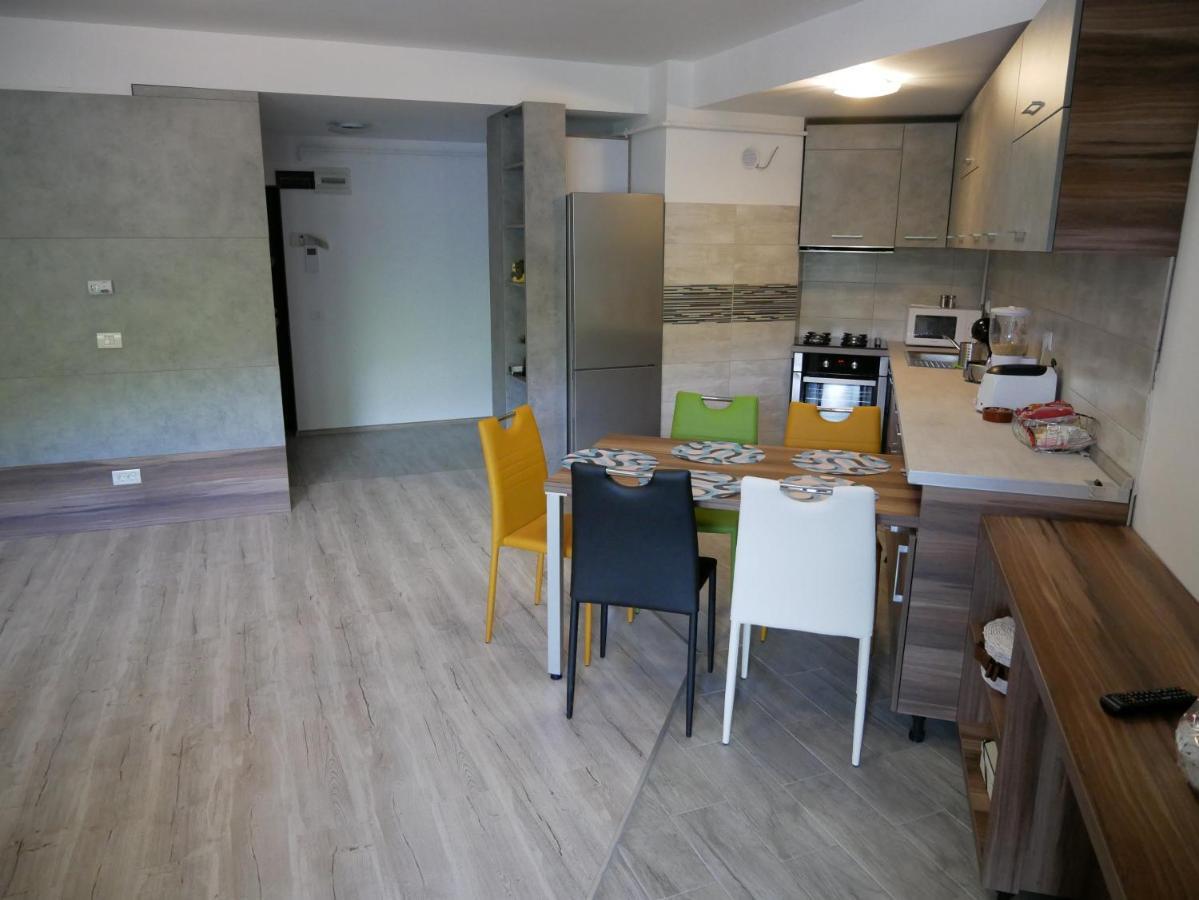 Riky Apart Mountain View Apartment Sinaia Exterior photo